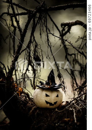 Halloween Pumpkin With Ugly Smile Wearing Black Witch Hat In  Spooky Forest 69723466