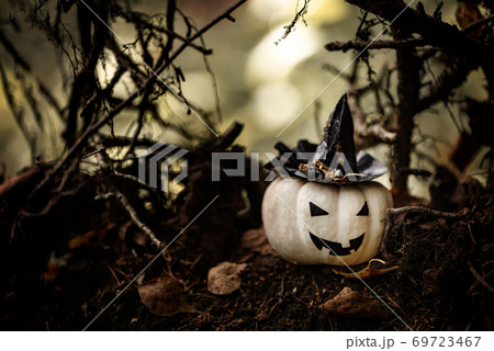 Halloween Pumpkin With Ugly Smile Wearing Black Witch Hat In  Spooky Forest 69723467
