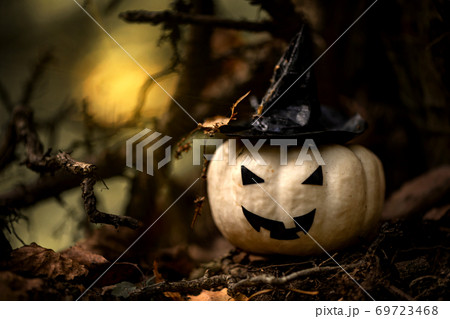 Halloween Pumpkin With Ugly Smile Wearing Black Witch Hat In  Spooky Forest 69723468
