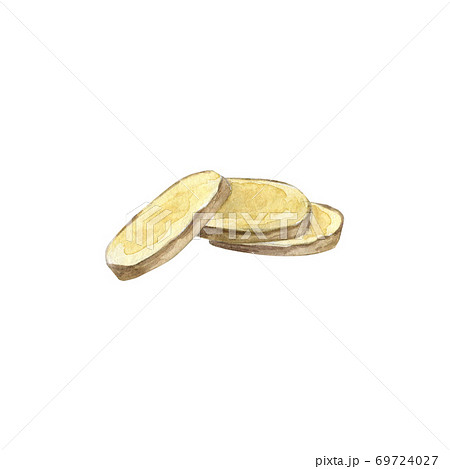 Watercolor ginger slices Watercolor ginger slices 69724027