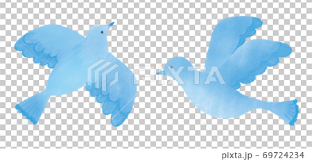 青い鳥のイラスト 69724234