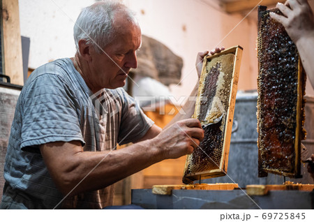 Beekeeper unseals honeycomb with a scraper to remove wax and subtract honey. Beekeeper unseals honeycomb with a scraper to remove wax and subtract honey. 69725845