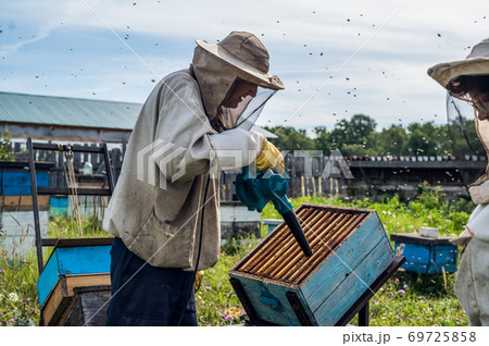 A beekeeper is using a blower, blowing air inside the hive full of working bumble bees to take out honeycomb and extract honey. 69725858
