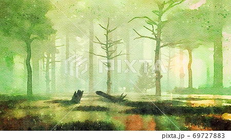 Sunset in dark swampy forest watercolor landscape 69727883