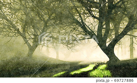 Watercolor landscape of dark mystical night forest 69727886