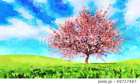Watercolor spring landscape with sakura in blossom 69727887