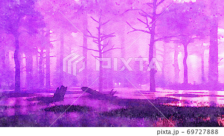 Magical misty forest swamp watercolor landscape 69727888