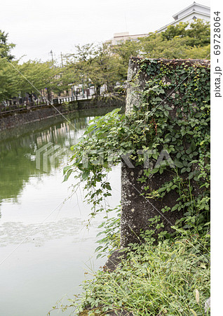 小田原城のお堀と夏草 69728064