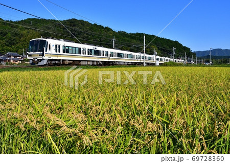鉄道　山陰本線　亀岡　千代川　稲穂　米　収穫　金　絨毯　特急　きのさき　はしだて　まいづる　初夏　夏 69728360