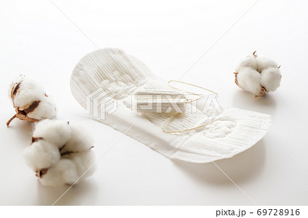 生理用ナプキンとタンポン　白背景 69728916