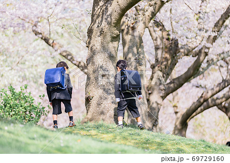 桜の木の下で遊ぶ男の子 69729160