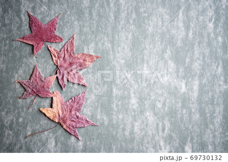 Autumn composition of dry maple leaves on traditional japanese paper.Top view, Autumn concept 69730132