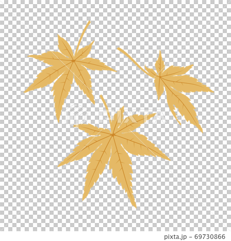Maple leaf (yellow) Maple leaf (yellow) 69730866
