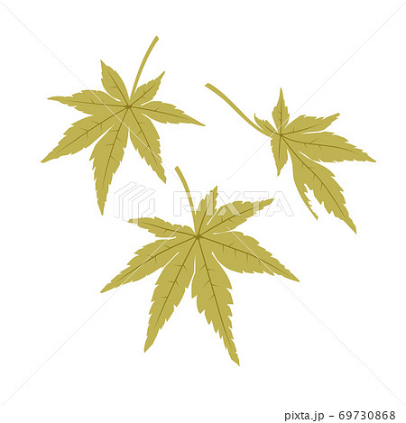 もみじの葉(緑) もみじの葉(緑) 69730868