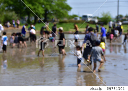 水田で泥んこ遊び 水田で泥んこ遊び 69731301