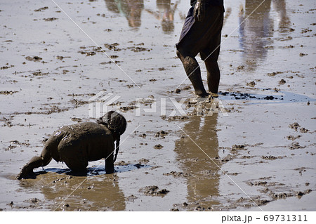 水田で泥んこ遊びの写真素材