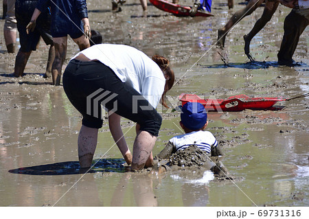 水田で泥んこ遊び 水田で泥んこ遊び 69731316