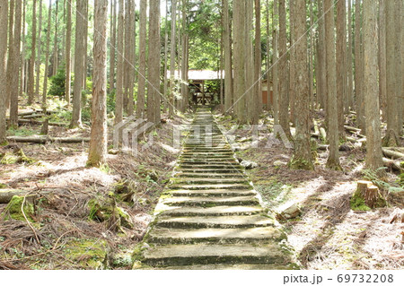 京北の加茂神社 京北の加茂神社 69732208