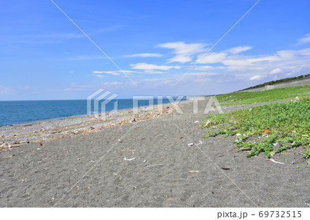 沼津市の千本松原と駿河湾の風景 69732515