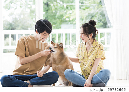 夫婦と柴犬 夫婦と柴犬 69732666