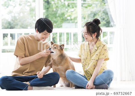 夫婦と柴犬 夫婦と柴犬 69732667