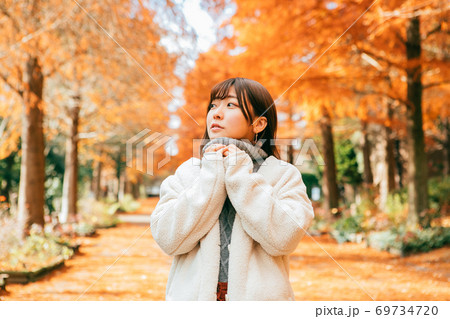 紅葉したラクウショウ並木と女性　 69734720