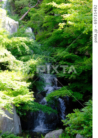 XT2三景園の自然その1 69735492