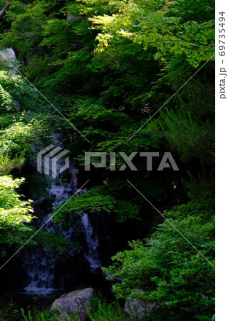 XT2三景園の自然その3 69735494