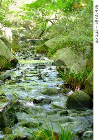 XT2三景園の自然その5 69735496