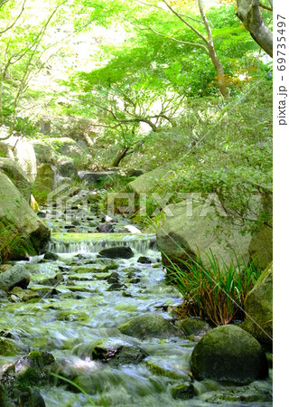 XT2三景園の自然その6 69735497