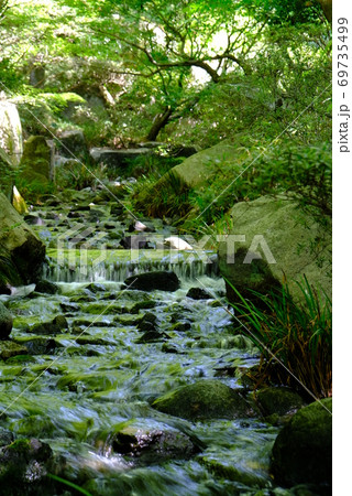 XT2三景園の自然その8 69735499