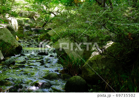 XT2三景園の自然その11 69735502