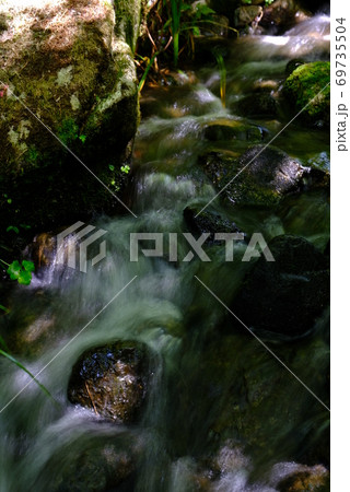 XT2三景園の自然その13 69735504