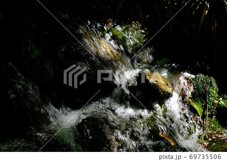 XT2三景園の自然その15 69735506