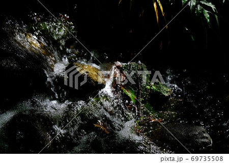 XT2三景園の自然その17 69735508