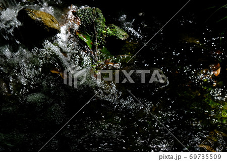 XT2三景園の自然その18 69735509