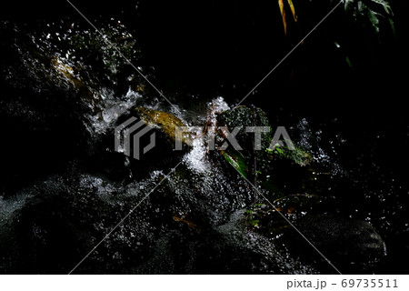 XT2三景園の自然その20 69735511