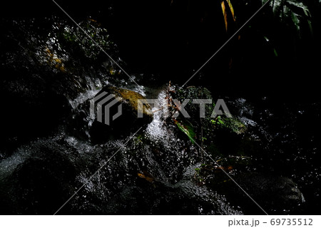 XT2三景園の自然その21 69735512