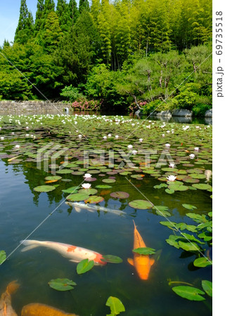 XT2三景園の自然その27 69735518