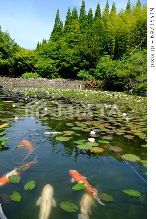 XT2三景園の自然その28 69735519