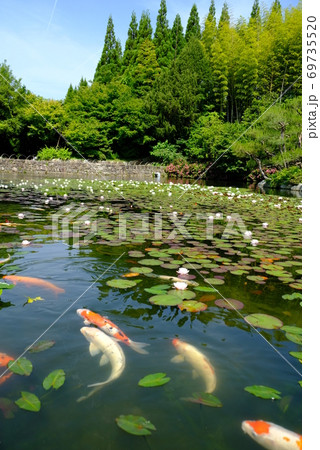 XT2三景園の自然その29 69735520