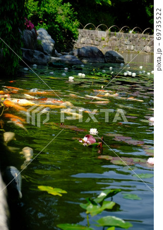 XT2三景園の自然その31 69735522