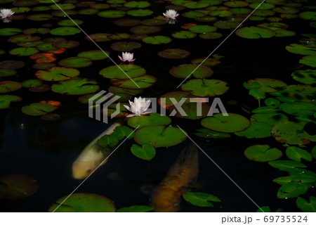 XT2三景園の自然その33 69735524