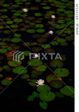 XT2三景園の自然その35 69735526