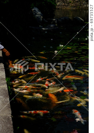 XT2三景園の自然その36 69735527