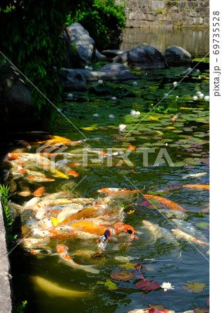 XT2三景園の自然その37 69735528