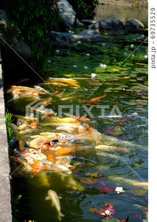 XT2三景園の自然その38 69735529