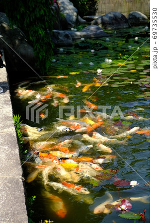 XT2三景園の自然その39 69735530