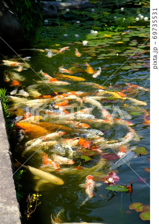 XT2三景園の自然その40 69735531