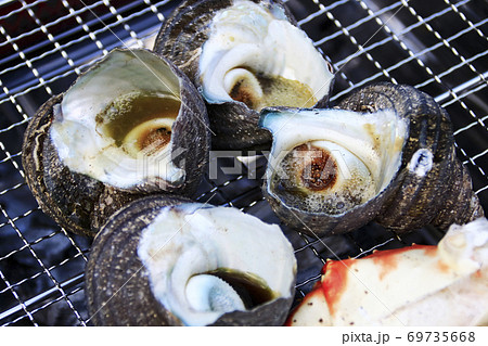 サザエとカニの網焼き　サザエアップ 69735668